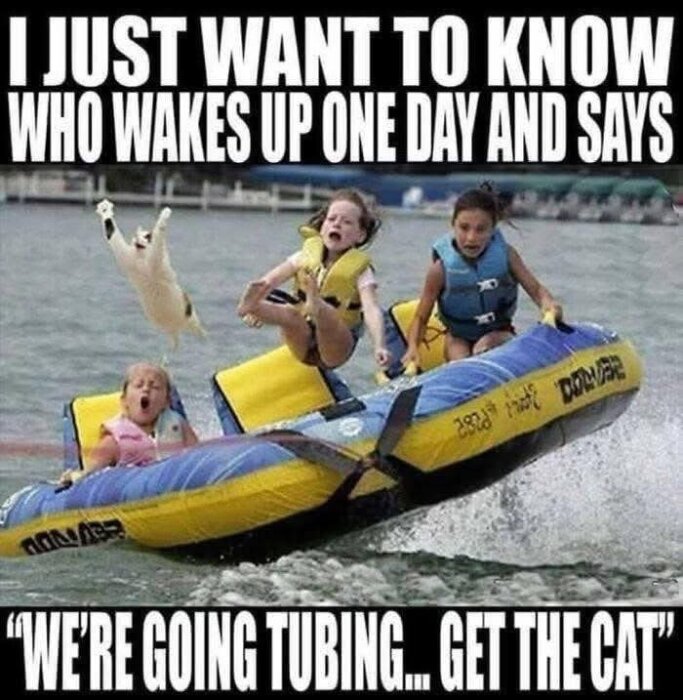 Tre barn i flytvästar åker på en gummiring bakom en båt, en katt flyger genom luften. Texten säger "We're going tubing... get the cat".