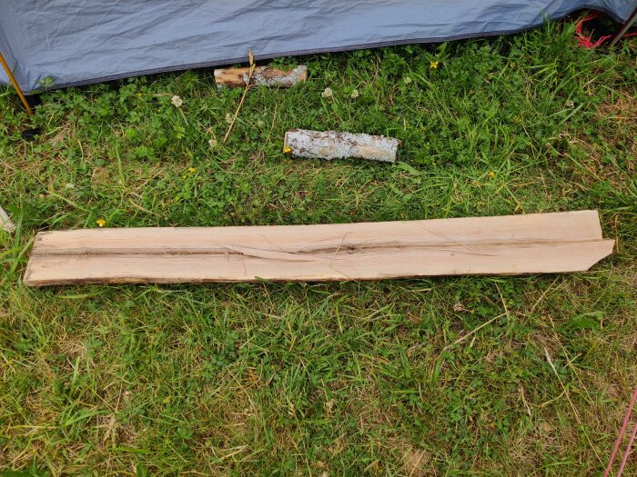 Klöv av en askbit ligger på en gräsmatta, redo att bearbetas vidare till ett nytt släggskaft.