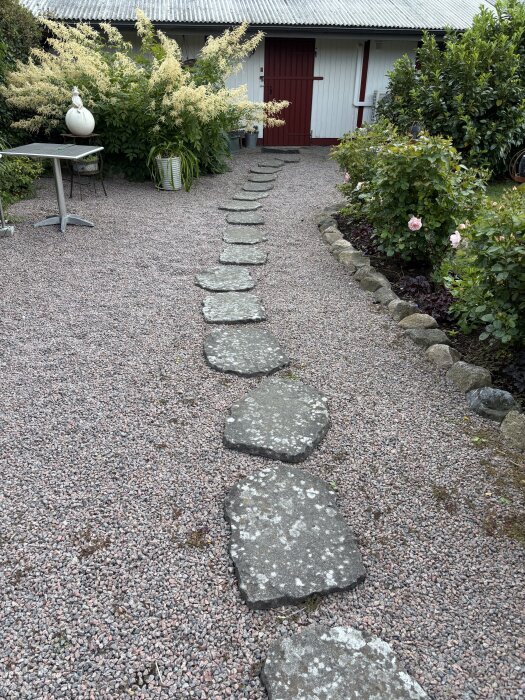 Gångstig av platta stenar på gårdgrus omgiven av växter, med ett rött och vitt hus i bakgrunden.