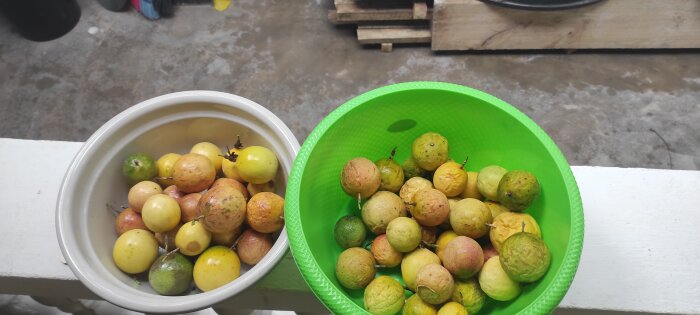 Två skålar med passionsfrukter i olika mognadsgrad, placerade på en vit yta.