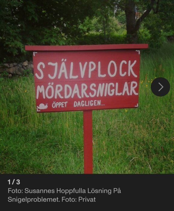Röd skylt i gräs med texten "Självplock mördarsniglar öppet dagligen".