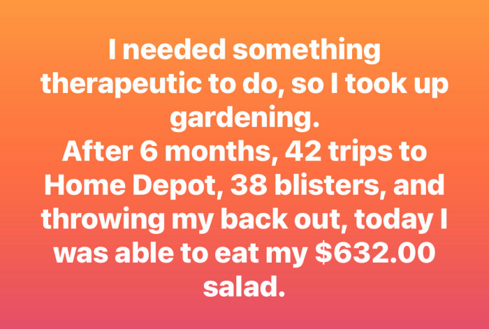 Text på orange bakgrund om att trädgårdsarbete blev dyrt efter sex månader, 42 resor, och 38 blåsor, men till slut en 632-dollarssallad.