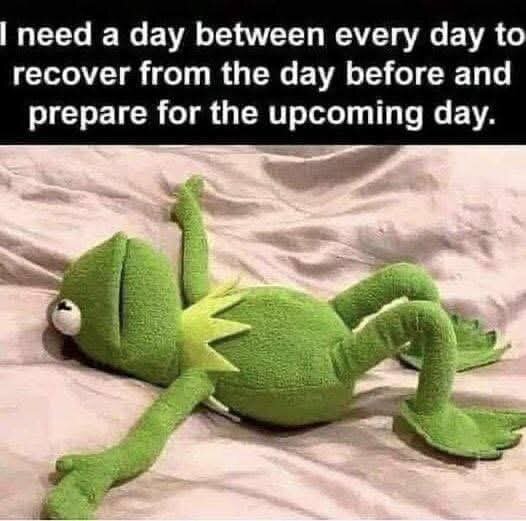 Groda liggande utmattad på rygg med text ovanför: "I need a day between every day to recover from the day before and prepare for the upcoming day.