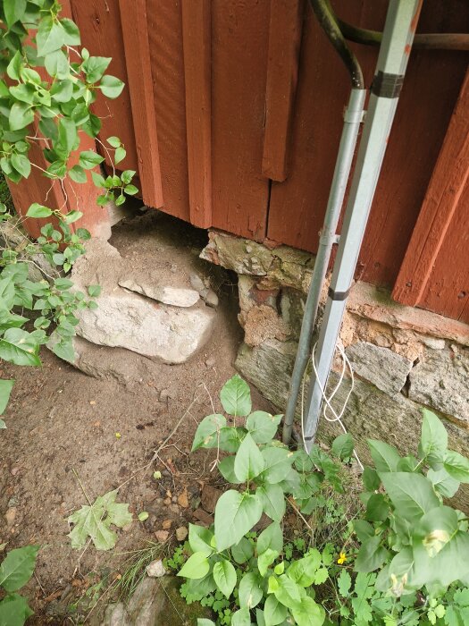 Del av stengrund på gammalt timmerhus har rasat, omgiven av växter och en röd trävägg. En kabel och ett rör syns också.