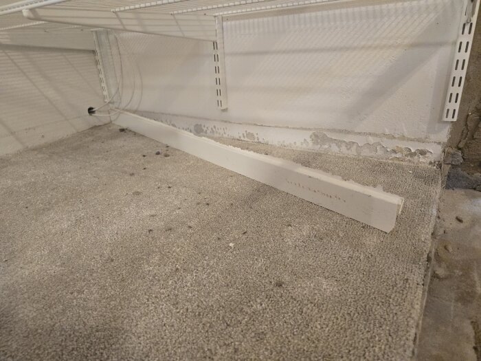 En vit list ligger på en dammig heltäckningsmatta vid sidan av en vägg med avskavt murbruk och synligt underlag.