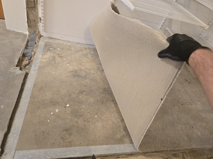 En hand i handske drar bort en beige heltäckningsmatta, avslöjar betonggolv och en ränna i en renoveringssituation.