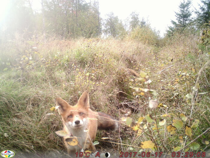 IMAG0516.JPG
