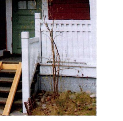 Vitmålat trästaket med vertikala spjälor och en överliggande skiva, vid en trappa utomhus från tidigt 1900-tal.