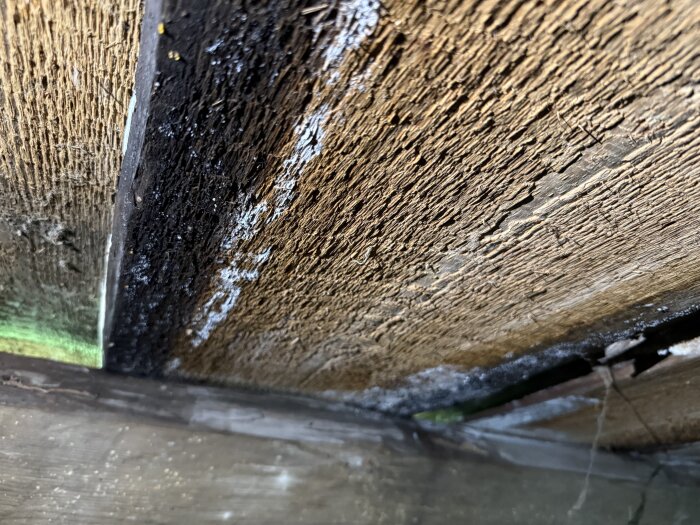 Närbild av ett gammalt trätak med synliga fukt- och mögelskador, delvis täckt av mörk missfärgning.