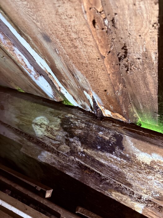 Ruttet trä med mögel och fuktskador i ett torp, tydlig skada.