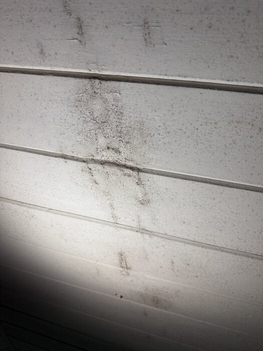 Närbild på innertak med fukt- och mögelskador, del av äldre torp med renoveringsbehov.