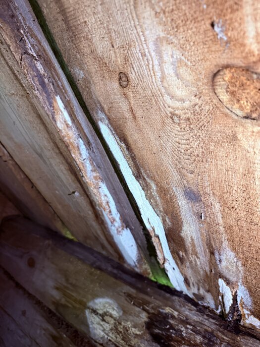 Fuktskadade träplankor med tecken på röta och färgsläpp i ett gammalt torp, potentiell renoveringsutmaning.