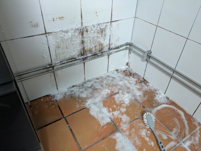 Fläckig kakelvägg bakom borttaget badkar med rengöringsmedel och borste på golvet, synlig mögel och lödningar.