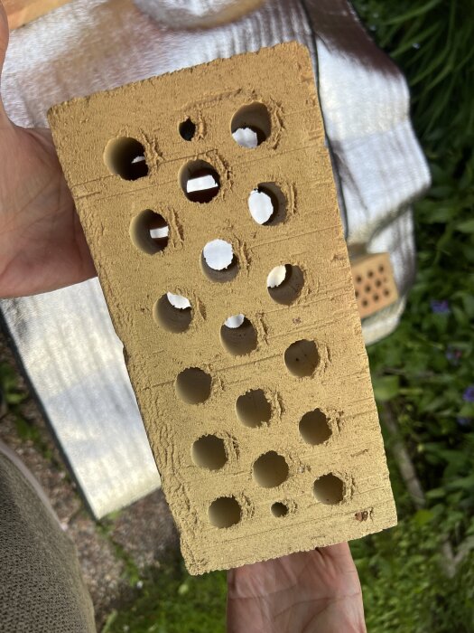 Gult tegelblock med flera runda hål, eventuellt gammalt eldfast tegel utan märkningar, mot en grön bakgrund.