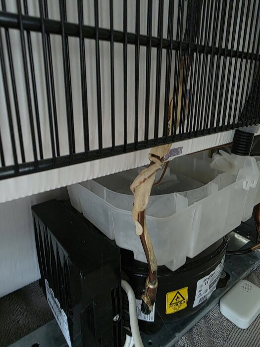 Baksidan av en Husqvarna-frys visas, med gul klibbig beläggning på ett rör och svarta galler ovanpå ett vitt fack.