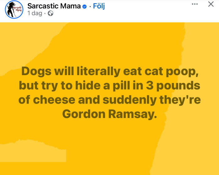 Gul bakgrund med text som skämtar om hundarnas noggrannhet med mat jämfört med ointresse för andra saker.