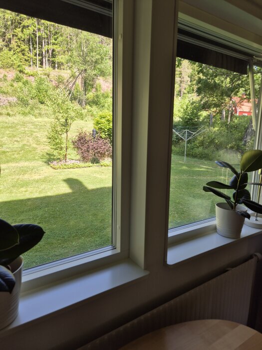 Två fönster med vita måttanpassade fönsterbrädor, utsikt över grönskande trädgård och två krukväxter på fönsterbrädan.