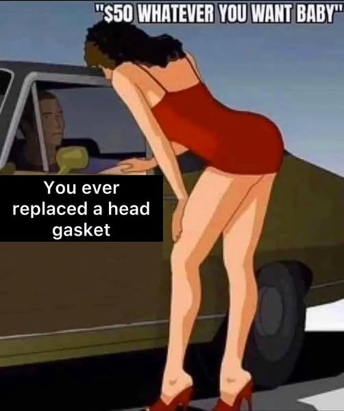 En tecknad bild med en person i röd klänning vid en bil och en pratbubbla som säger "You ever replaced a head gasket.
