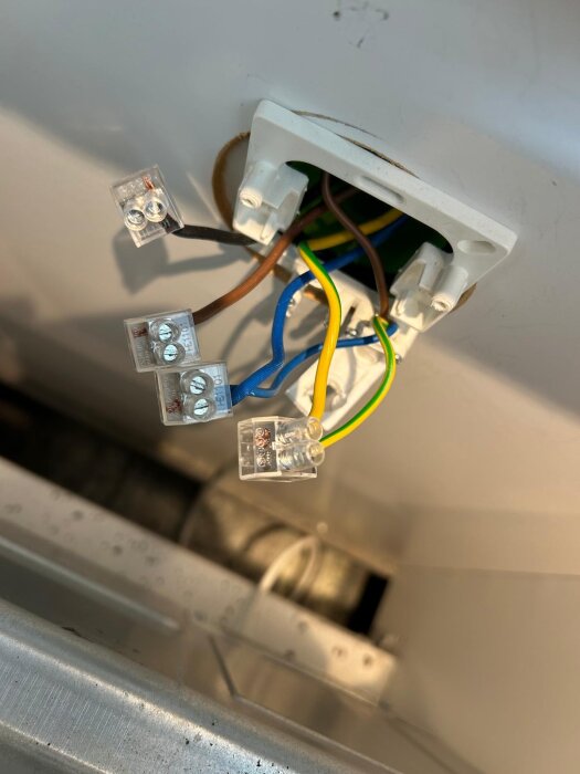 Close-up of Electrolux induction hob wiring showing a missing L1 black wire and connections for brown, blue, and yellow-green wires.