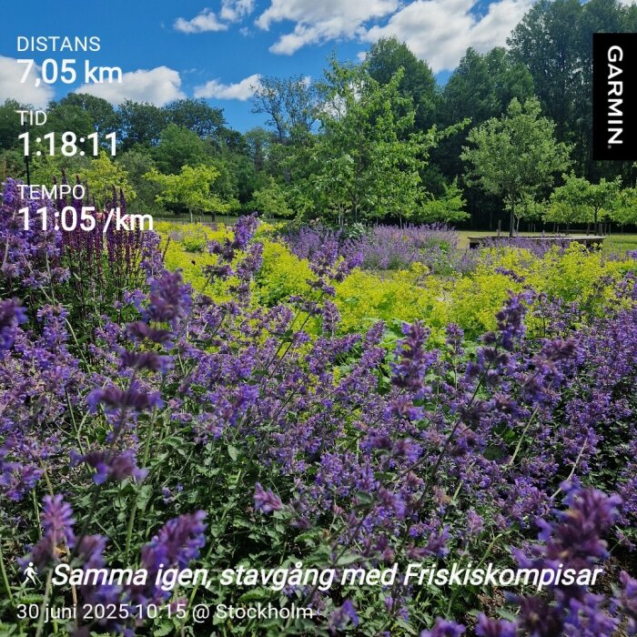 Blommande fält med lila och gula blommor, omgivna av grönska under en klarblå himmel, med träningsdata överlagrad.
