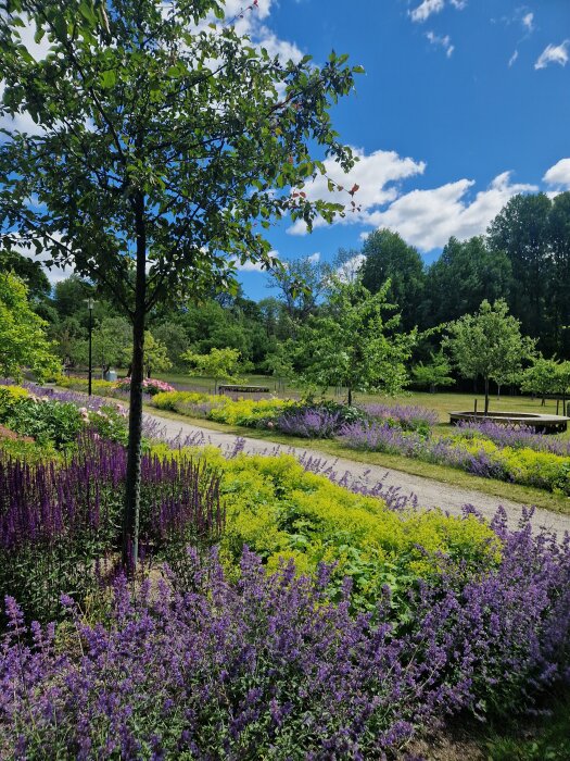 Grön park under blå himmel med träd och färgglada blommor längs en grusväg, omgiven av skog i bakgrunden.