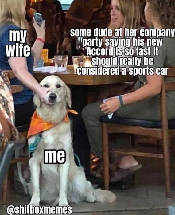 En hund med orange bandana sitter bland personer på restaurang, texter skapar ett humoristiskt meme om social interaktion.