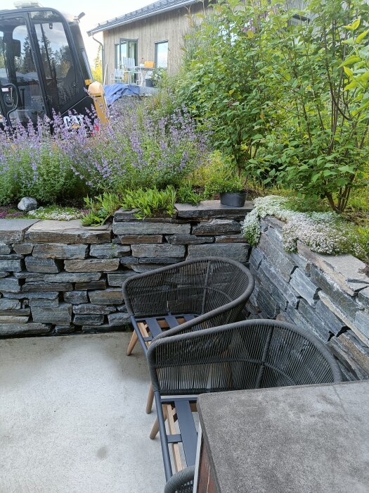 Grå stenmurar med växter i blom i en trädgård med stolar placerade på en betongyta, intill en liten grävmaskin och ett hus i bakgrunden.