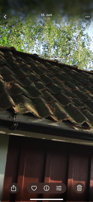 Tak med gamla mossiga takpannor på en stuga, överhängande grönska och träpanel i rödbrunt syns i bakgrunden.