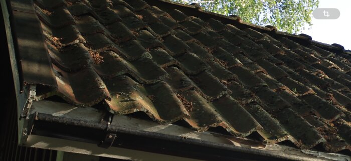 Tak med mörka, åldrade takpannor täckta med mossa och skräp.