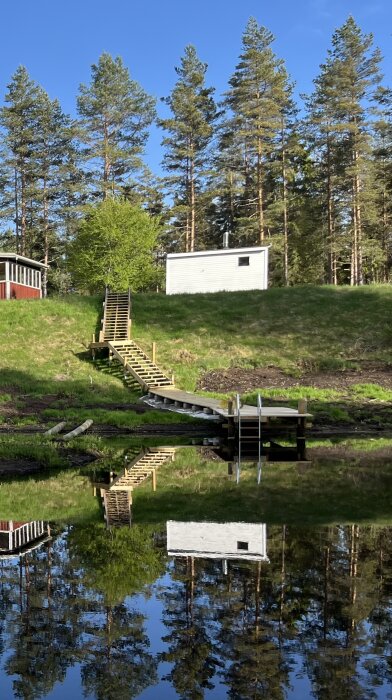 Träbrygga vid en sjö med trappa uppför grönskande backe, omgiven av tallar och spegelbild i vattnet.