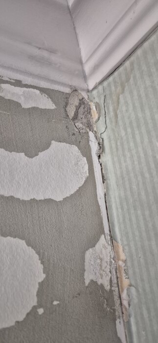 Sprucket hörn med synlig betong och skadad tapet.