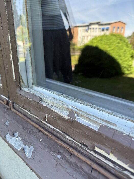 Gammalt fönster med avflagnad brun färg, slitet trä och sprucken kittning, reflektion av en person och trädgård synliga i glaset.