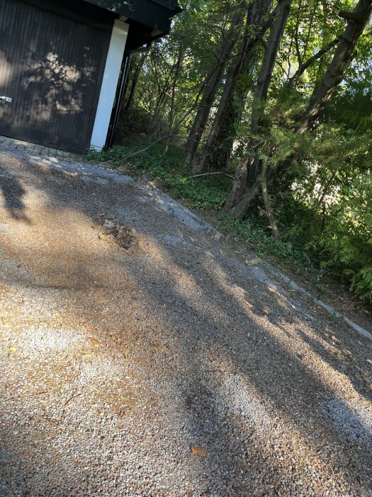 Grusuppfart med barr och löv från tallar bredvid garage; solbelyst skugga över ytan.