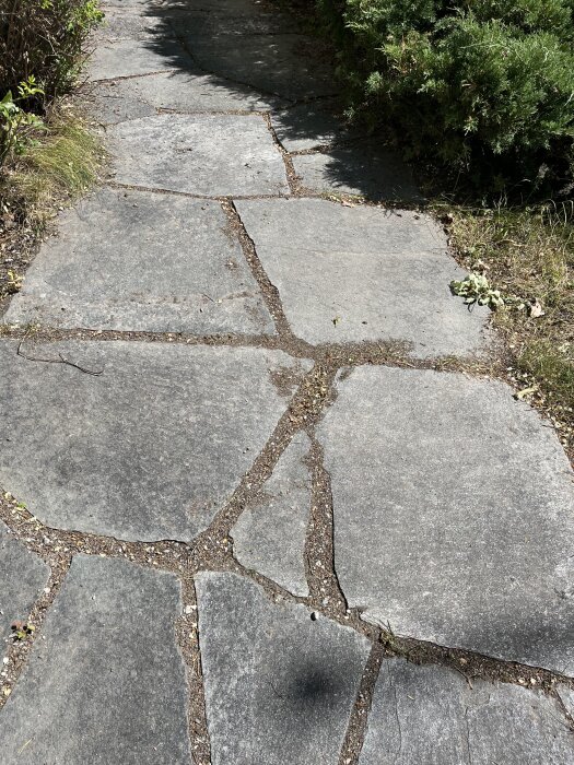 Grå stengång i trädgård med buskar och gräs vid kanten.