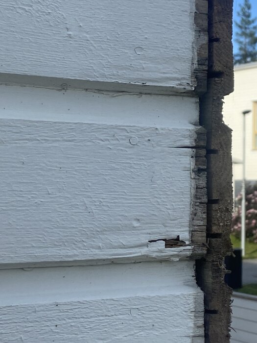 Vit träfasad med skadade och delvis ruttna delar i närbild, visar behov av reparation och utbyte.