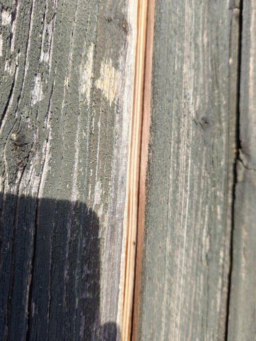 Närbild på en vägg med överlappande träpaneler, varav en kant har lossnat och en springa avslöjar underliggande plywood.