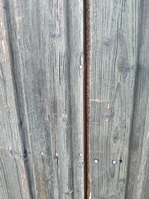 Sliten träpanel med en glipa längs långsidan, där underliggande plywood syns.