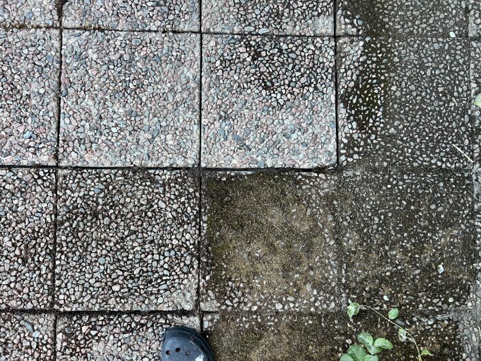 Markstenar med borttagen mossa och gräs, en skottkärra delvis fylld med mosstuvor syns. En sko och lite löv vid kanten av bilden.