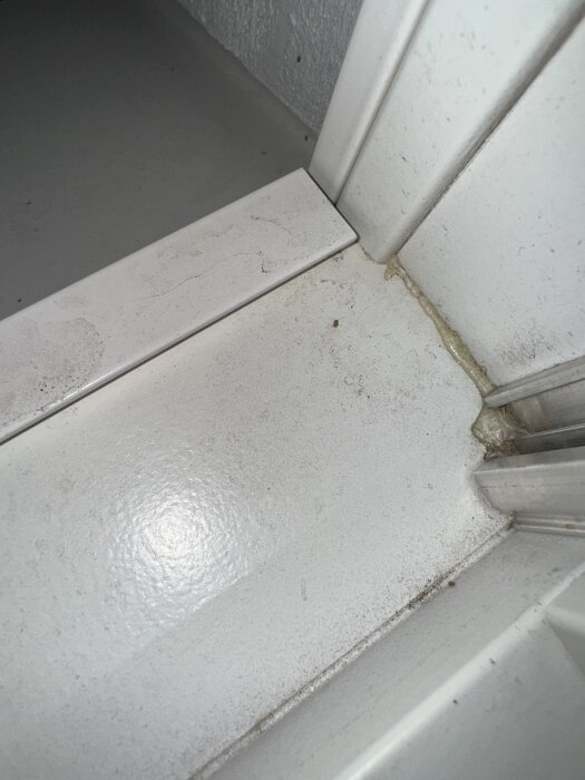 Närbild av vita fönsterkarmar med små, oidentifierade insekter samlade vid en skarv.