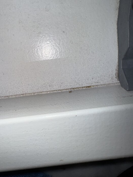 Bild på en vit fönsterkarm med små, oidentifierade insekter närvarande.