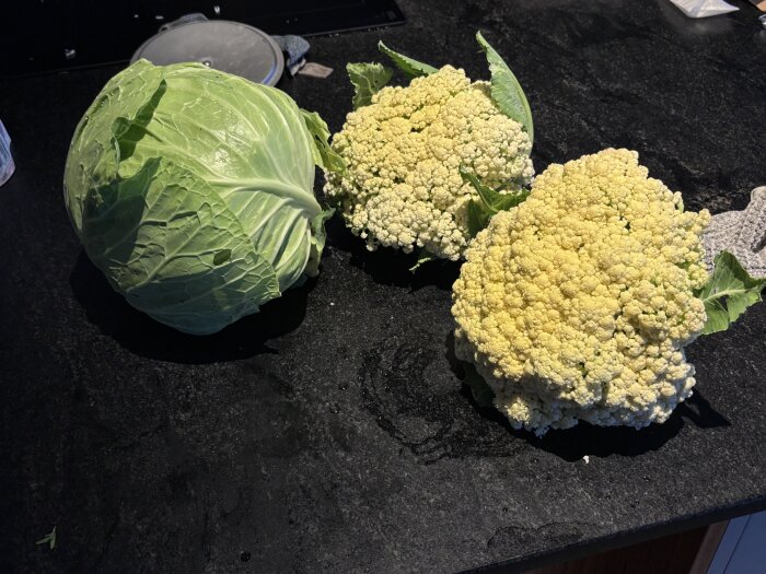 Kålhuvud och två blomkålshuvuden på en svart bänkskiva.
