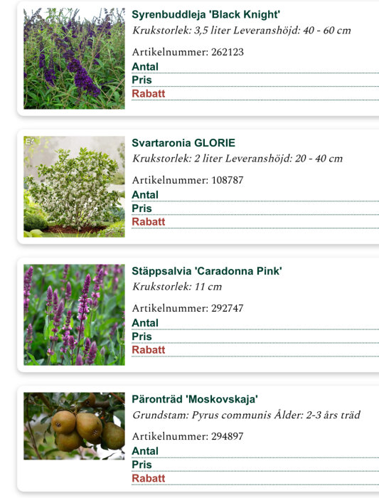 Produktbilder av växter: Syrenbuddleja 'Black Knight', Svartaronia GLORIE, Stäppsallvia 'Caradonna Pink', och Päronträd 'Moskvskajaja'.
