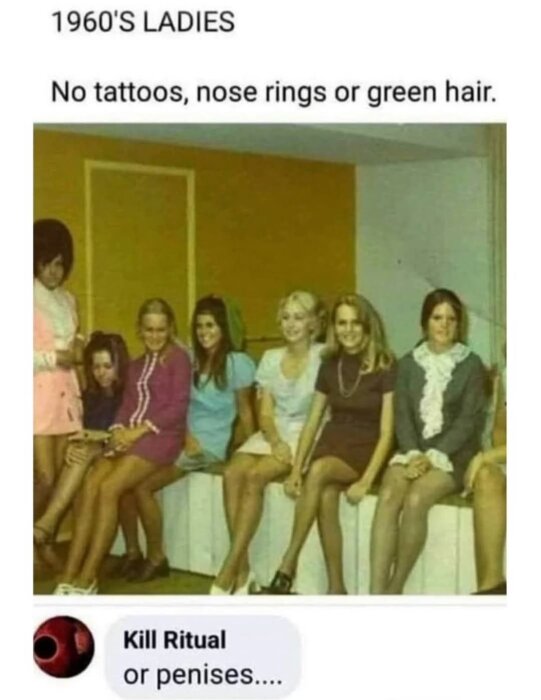 En grupp kvinnor från 1960-talet sitter på en bänk. Text ovanför beskriver stilen: inga tatueringar, näsringar eller grönt hår. En kommentar läser "or penises...".
