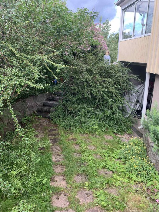 Stenig gångväg med trappsteg omgiven av tät vegetation, leder upp mot ett gult hus med stora fönster och cyklar synliga vid sidan.