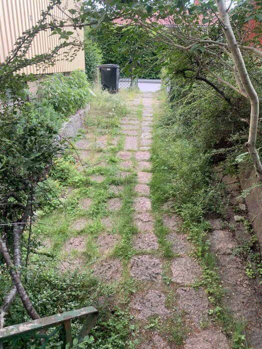 Gångväg av stenplattor omgiven av buskar och gräs, med en soptunna och ett staket i bakgrunden.