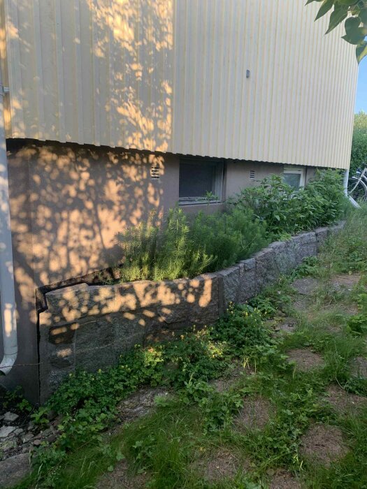 Gul husfasad med stenmurar och växtlighet i förgrunden, delvis skuggad av trädgrenar.