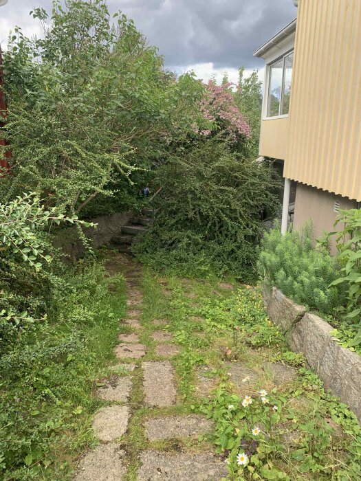 Gångväg med betongplattor och frodig växtlighet längs husfasad, mot en trappa. Himlen ovan är mulen.