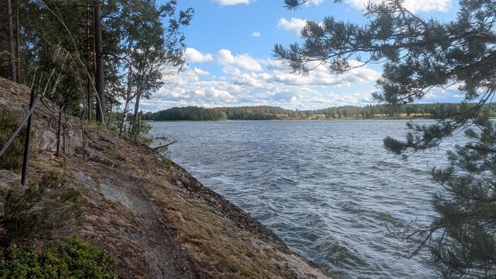 Stenig stig längs en sjö med tallgrenar och stammar i förgrunden. Blå himmel och moln syns över vattnet.