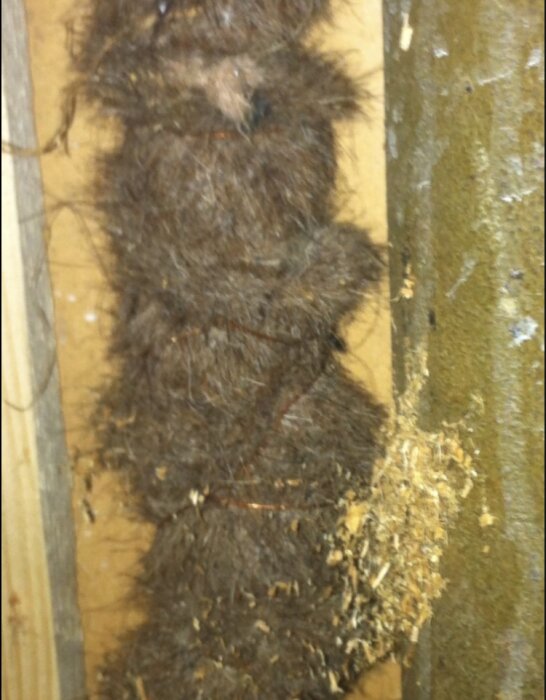 Gammalt grönt avloppsrör med skrovlig yta, intill ett rör isolerat med brunt material som liknar tagel, inuti en öppnad vägg på toalett.