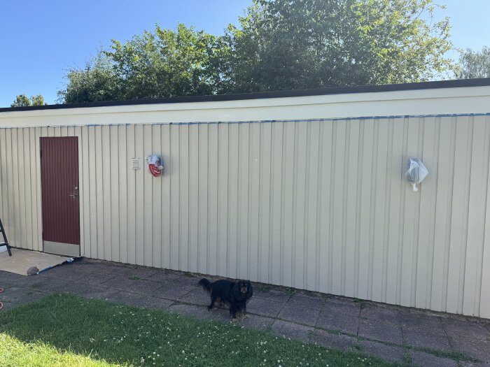 Garage med träpanel och röda dörrar, med viss rötskada i ändträt. Hund står på stenlagd gång framför garaget, omgiven av gräs och träd.